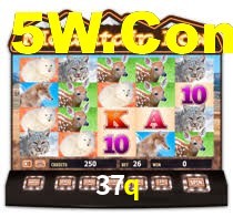 37q: A Experiência de Casino com Jogos de Mesa ao Vivo