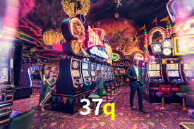 37q,37q.com